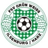 Avatar Bild für FSV Grün-Weiß Ilsenburg