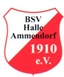 Avatar Bild für BSV Halle-Ammendorf