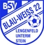 Avatar Bild für SG BSV BW Lengenfeld/St. II