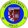 Avatar Bild für SV 1951 Gaberndorf e.V.