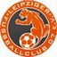 Avatar Bild für Leipziger FC 07 I