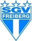 Avatar Bild für SGV Freiberg Fußball I