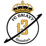 Avatar Bild für Fußball-Club Galaxy Steinfurt 2013 e.V.