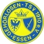 Avatar Bild für GTSV Essen