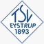 Avatar Bild für TSV Eystrup II