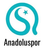 Avatar Bild für Anadolu Spor Baunatal II