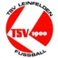 Avatar Bild für TSV Leinfelden II