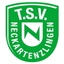 Avatar Bild für TSV Neckartenzlingen