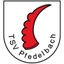 Avatar Bild für TSV Pfedelbach 2