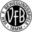 Avatar Bild für VfB Tamm II