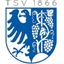 Avatar Bild für TSV Weinsberg