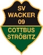 Avatar Bild für SV Wacker 09 A-Junioren