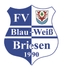 Avatar Bild für FV Blau-Weiß 90 Briesen/Mark