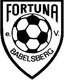 Avatar Bild für Fortuna Babelsberg II