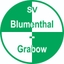 Avatar Bild für SV Blumenthal/Grabow II