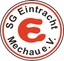 Avatar Bild für SG Eintracht Mechau