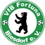 Avatar Bild für VfB Fortuna Biesdorf III